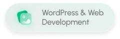Wordpress & Web Development Button