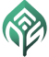 DevSavant logo in green with a transparent background